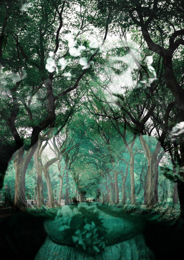 The spectral image of a woman in a white gown and crowned with flowers hovers over a verdant pathway lined by trees.